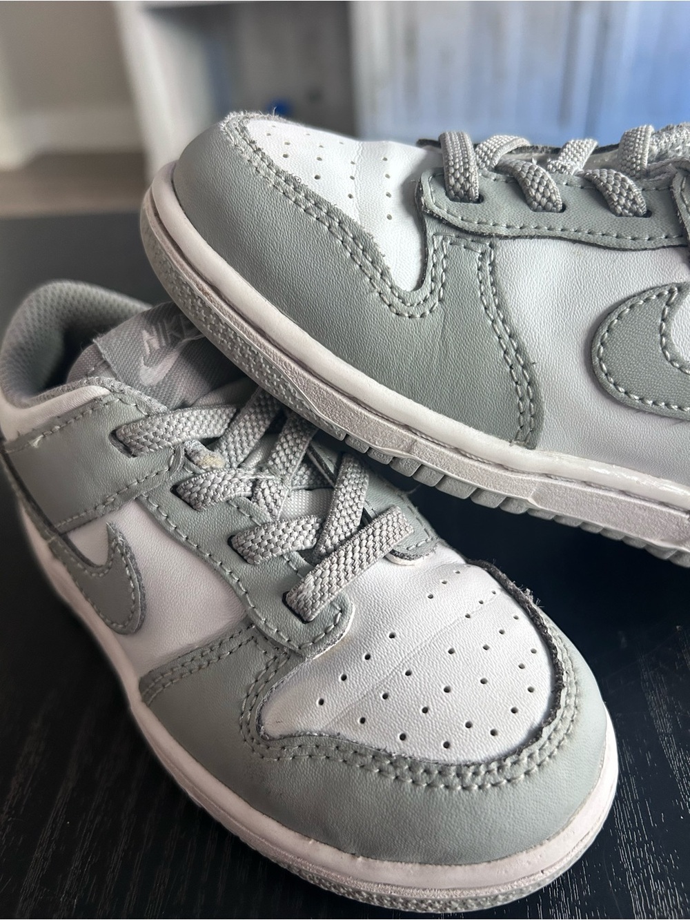 9c Nike Dunks